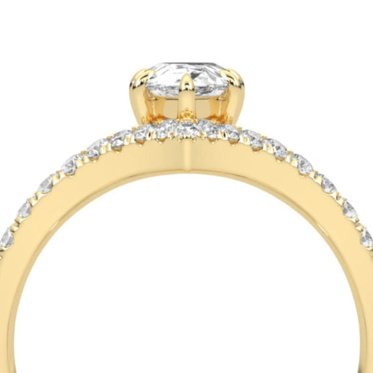 HN Brie Ring